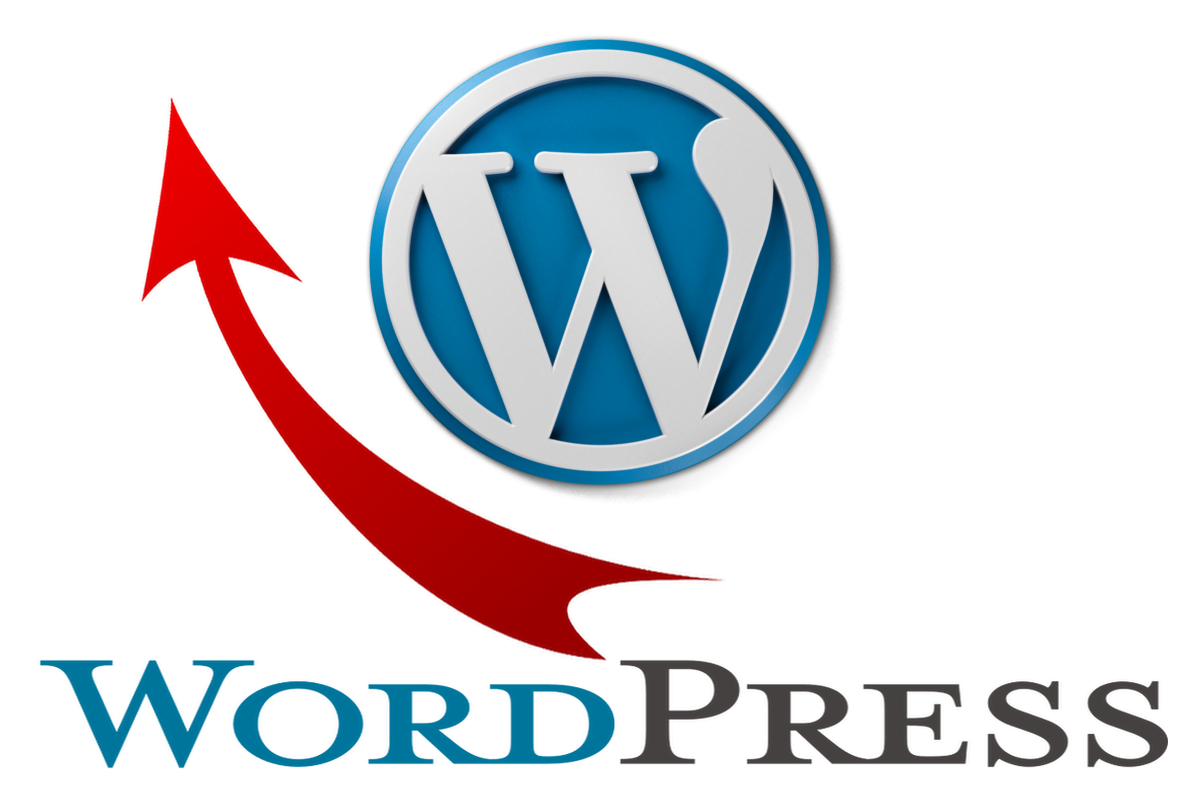 How deep does the WordPress learning curve go? Don't worry, you won't drown.