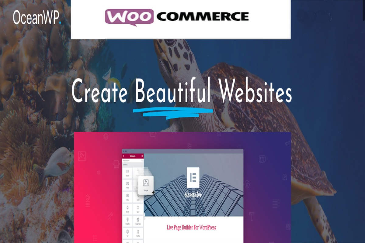 Integrating OceanWP, Elementor and WooCommerce. Unleash your site's potential.