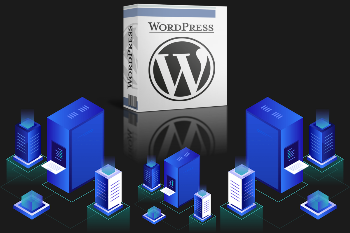 Is WordPress a software or a server? It's more.