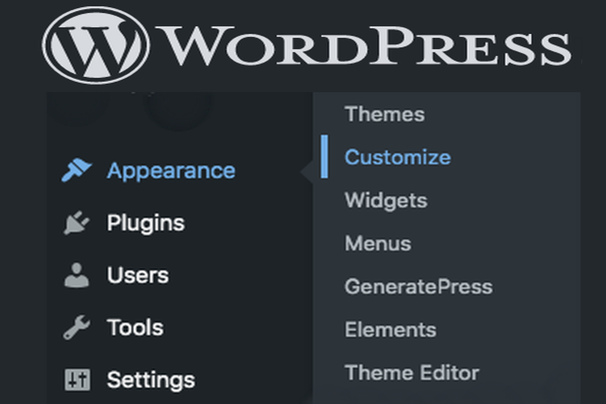 What is WordPress theme customization? DIY or Developer.