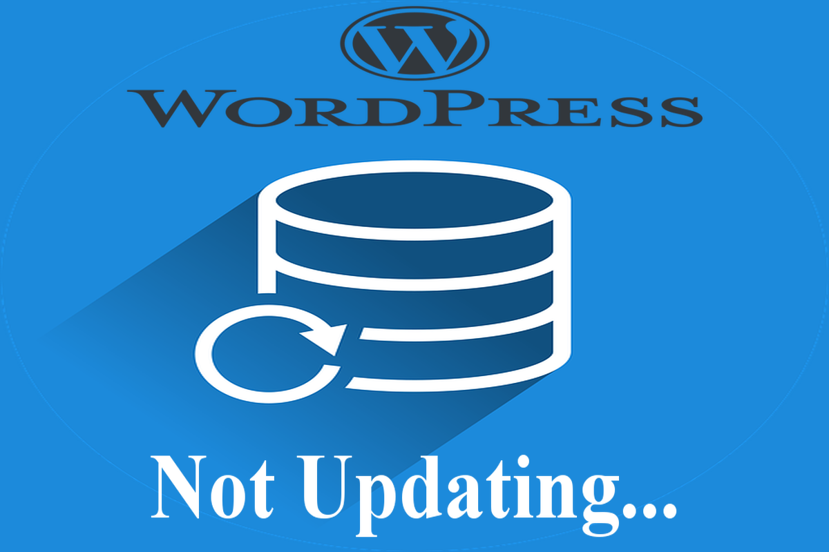 Why is WordPress not updating? WordPress updating fixes.
