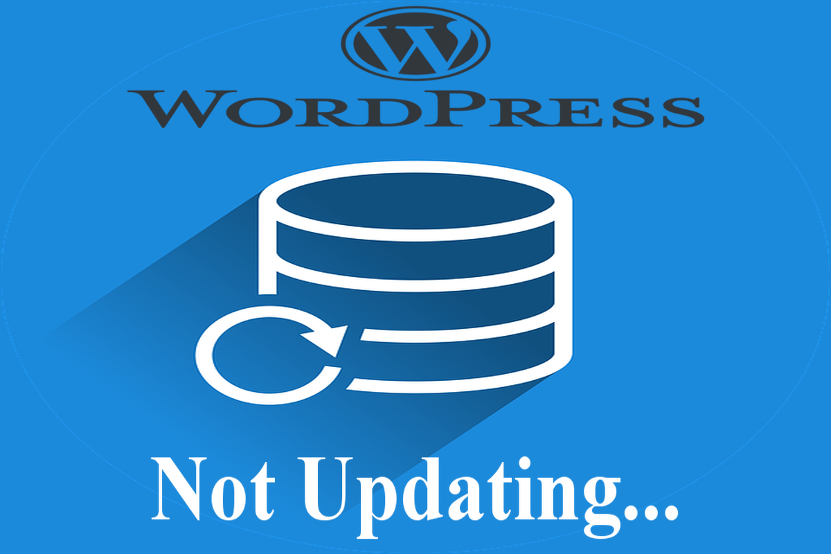 Why Is WordPress Not Updating? WordPress Updating Fixes! WP Website Tools