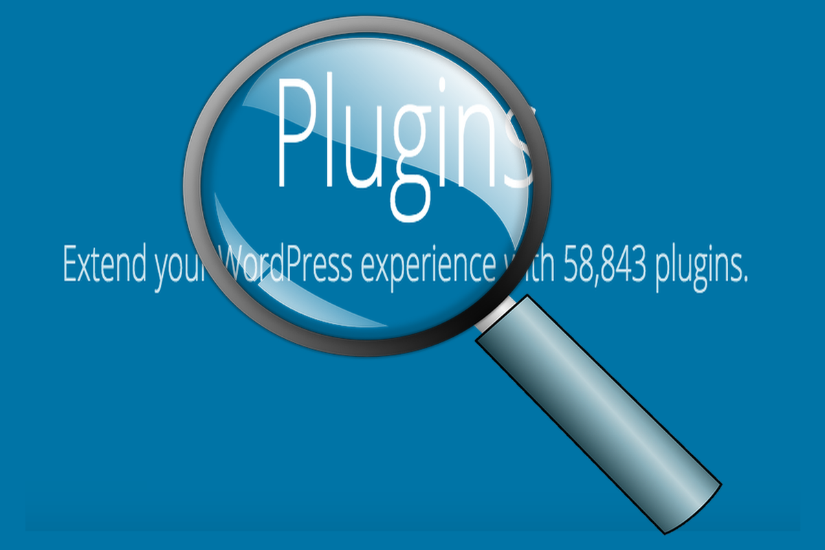 How to find out which plugins are used in a WordPress site.