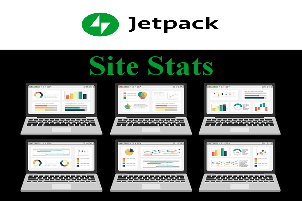 Jetpack Site Stats not working? Reasons and Fixes.