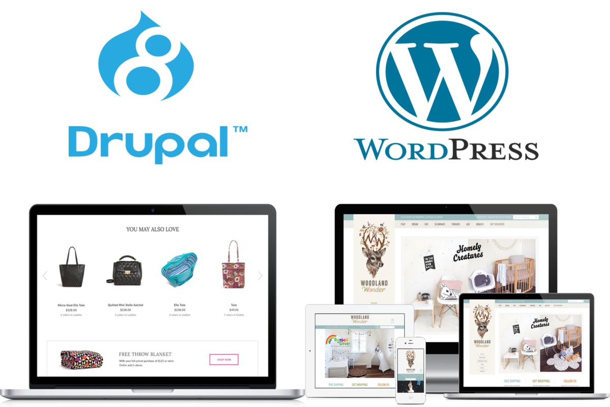 Drupal vs WordPress for eCommerce. Which is best? FAQs.