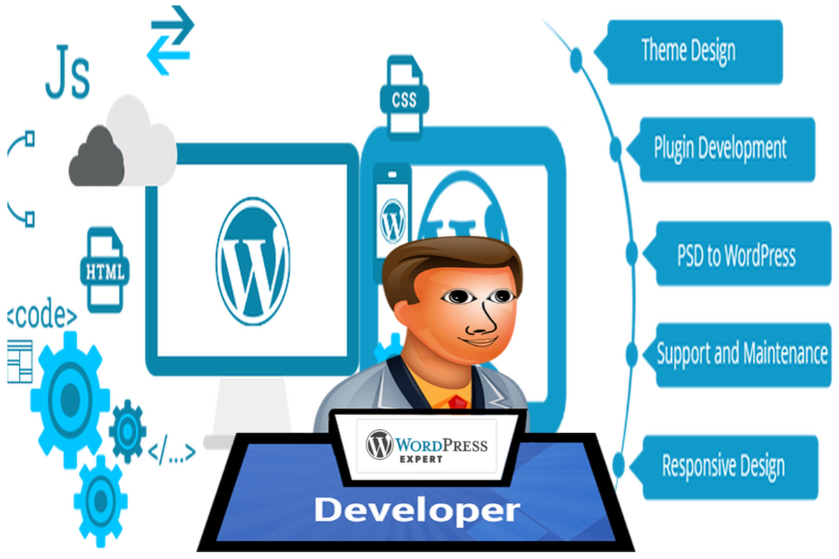 Developer wordpress WordPress Developer