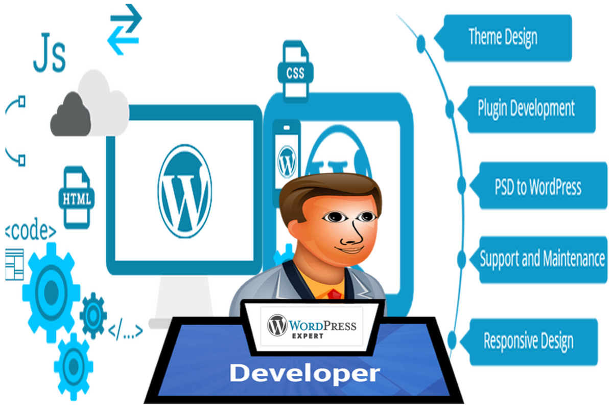 Wordpress developer