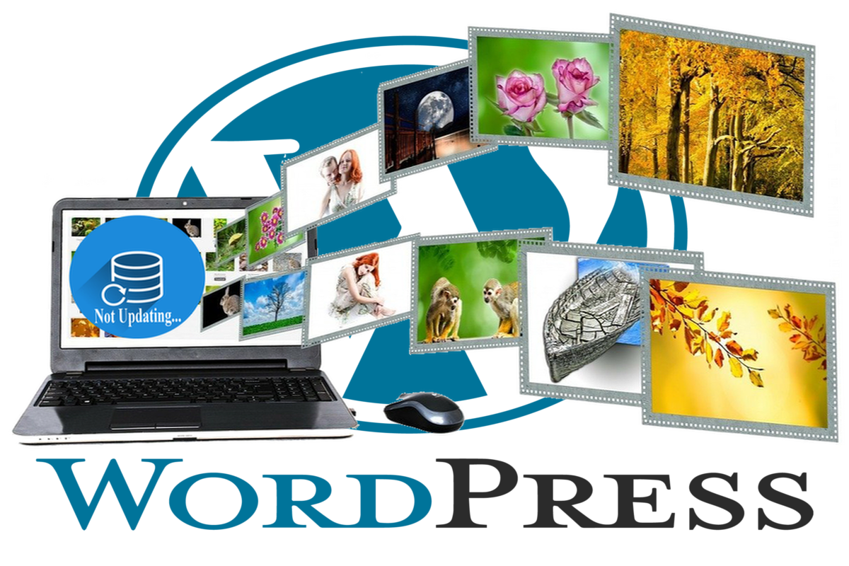 WordPress Featured Image not updating? FAQs and Quick Fixes!