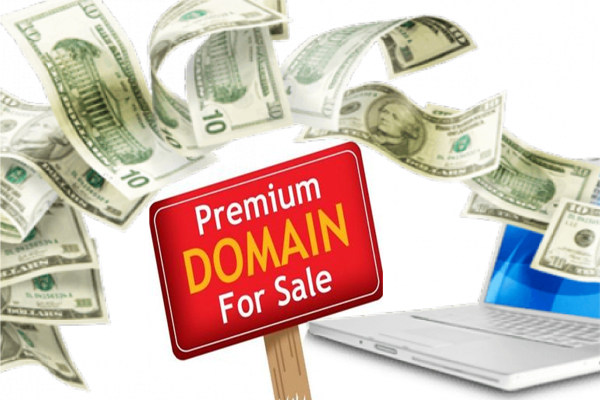 Can I Buy A Domain Name And Not Use It Yes And Make Bank WP Website 