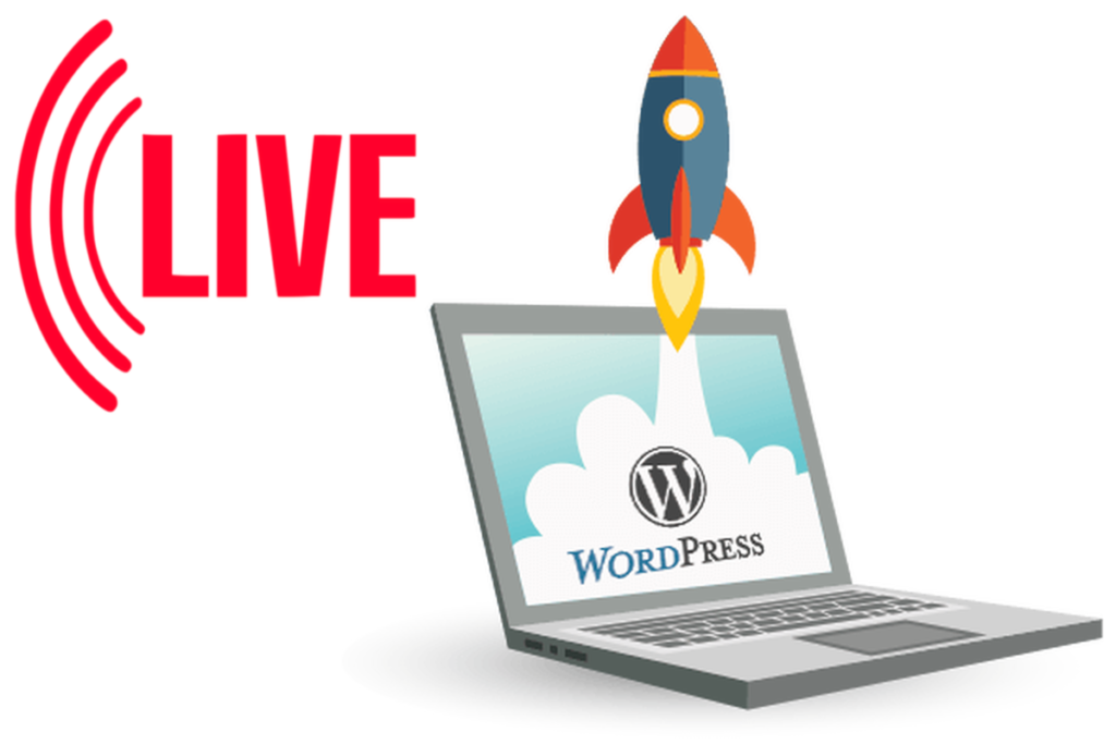 Get Your WordPress Website Live