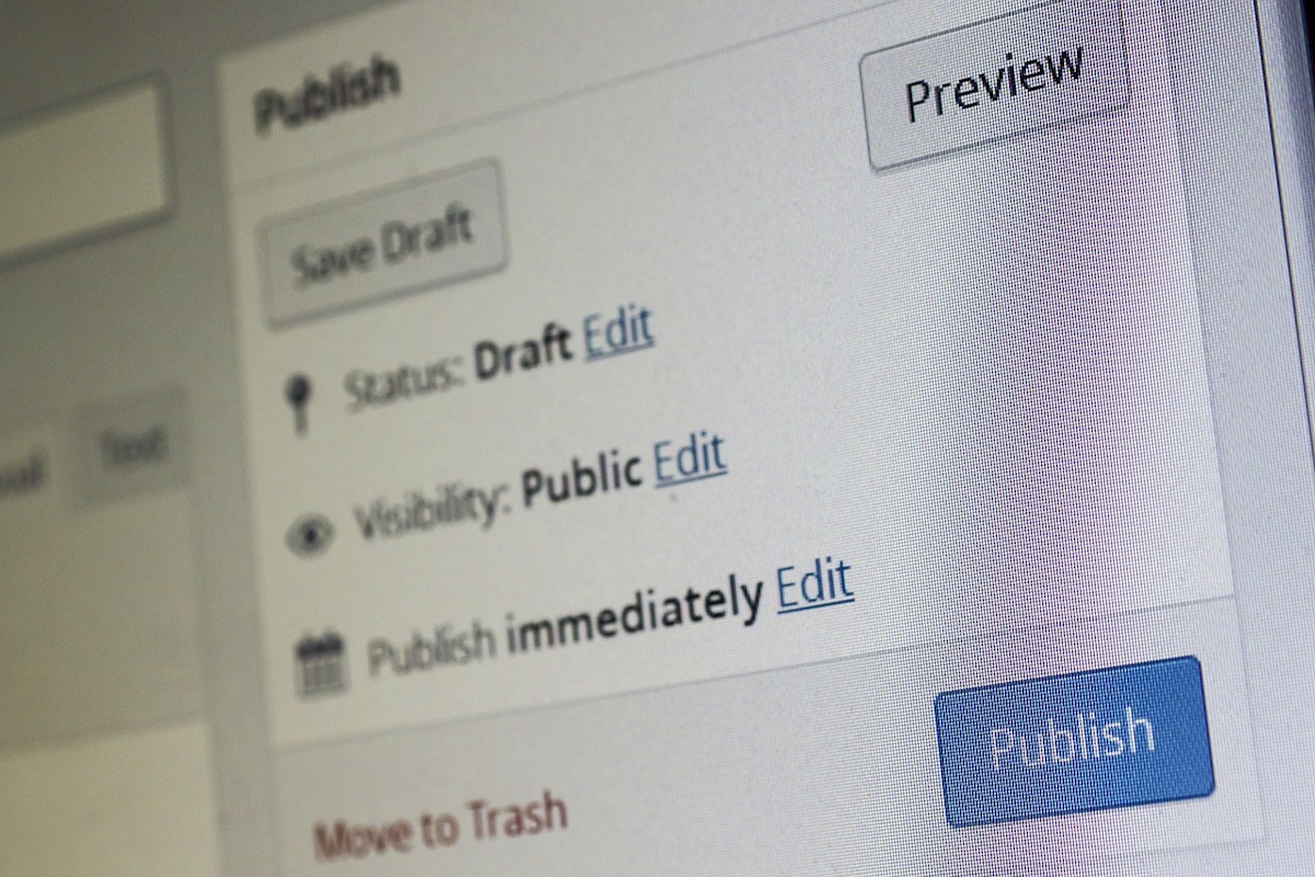 How to Work on a Wordpress Site without Publishing. FAQs.