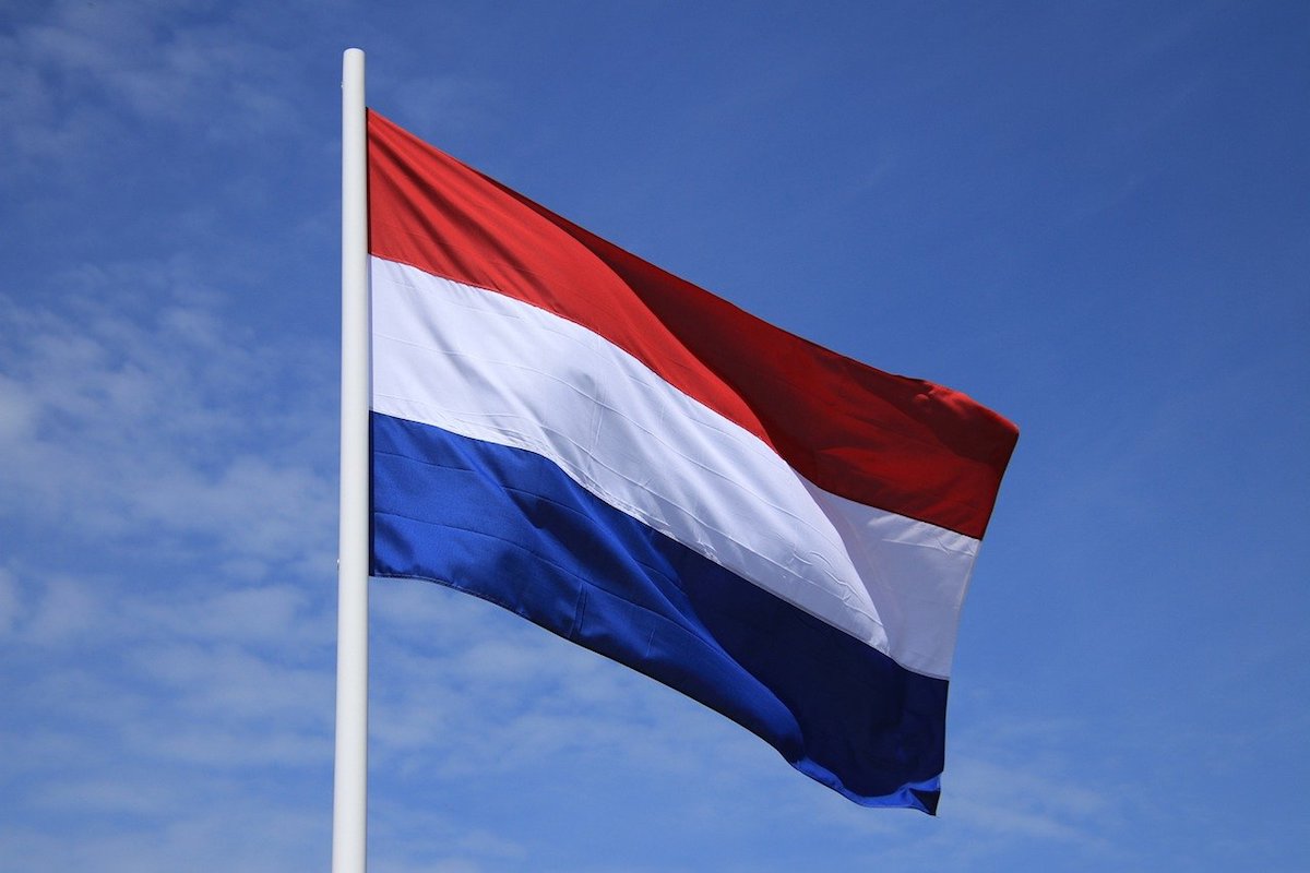 Is DMCA Ignored in the Netherlands? Not Exactly. FAQs.