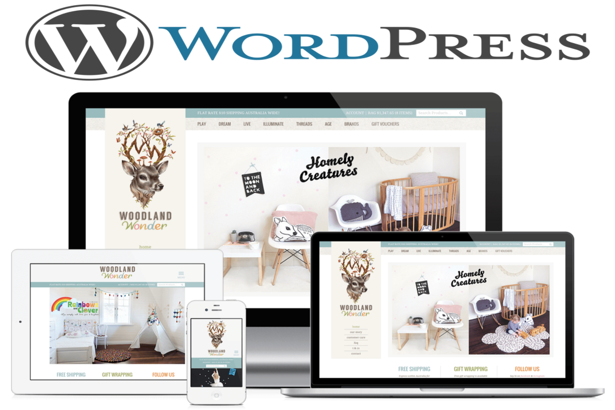 Quick Pros And Cons Of WordPress eCommerce. Plus FAQs.