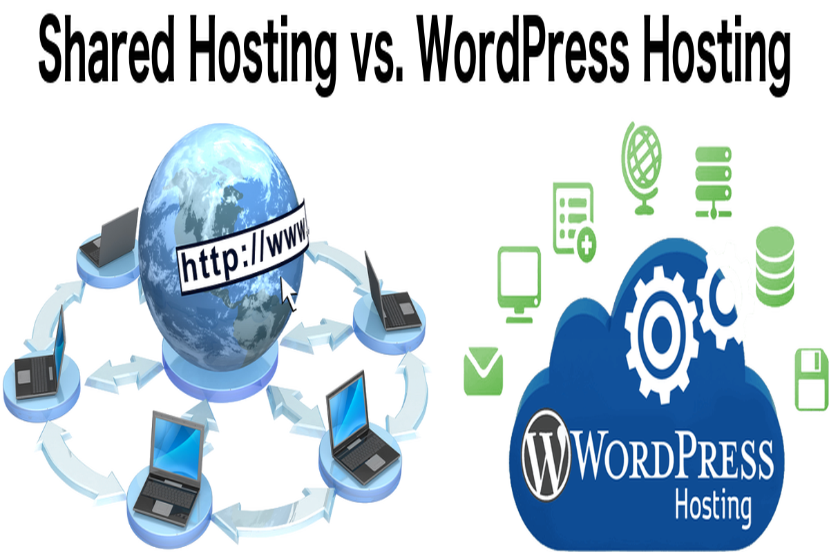 Shared Hosting vs WordPress Hosting: Which Is Best For You?
