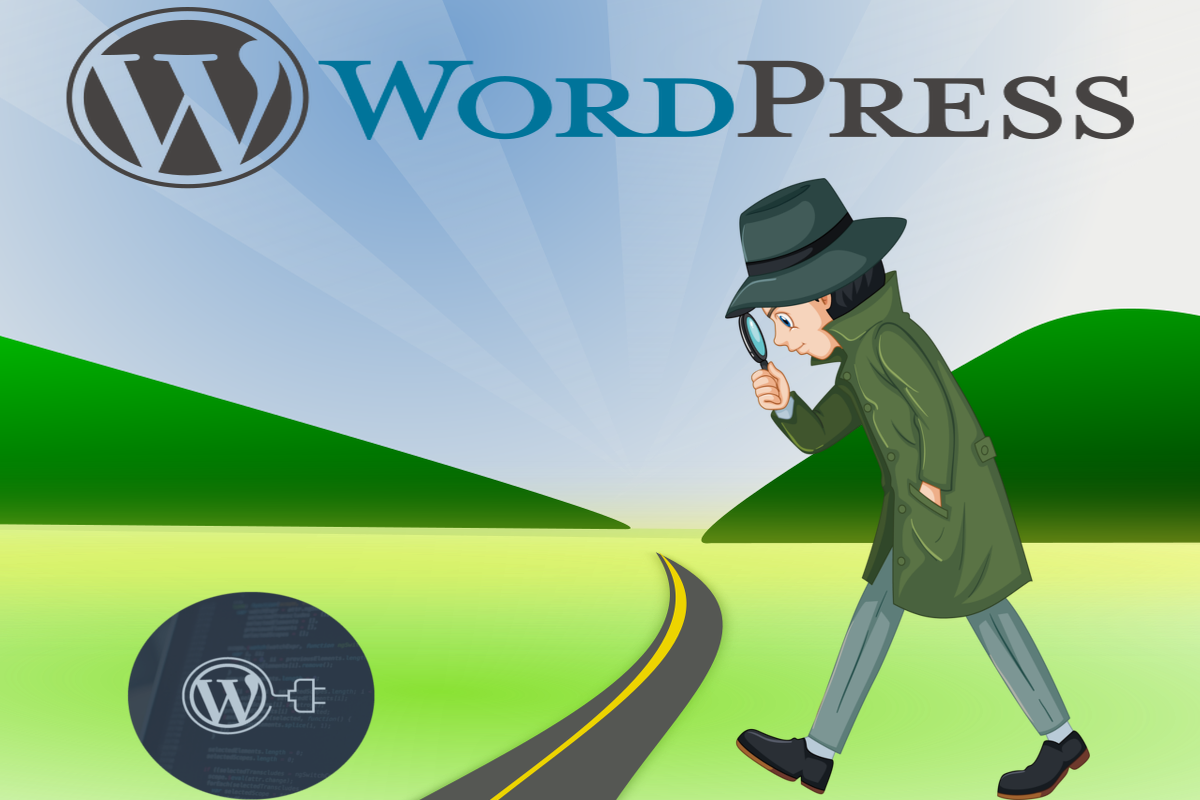 Is There A WordPress Unused Plugin Detector? Check Now! Here's How!