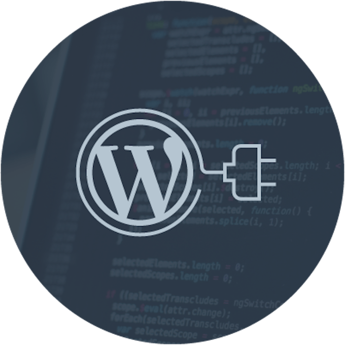 Can You Edit WordPress Plugins? Yes! Here's How! Plugin Editing FAQs!