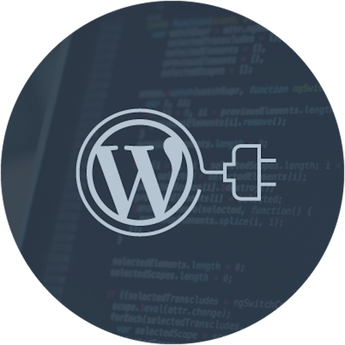 can-you-edit-wordpress-plugins-yes-here-s-how-plugin-editing-faqs