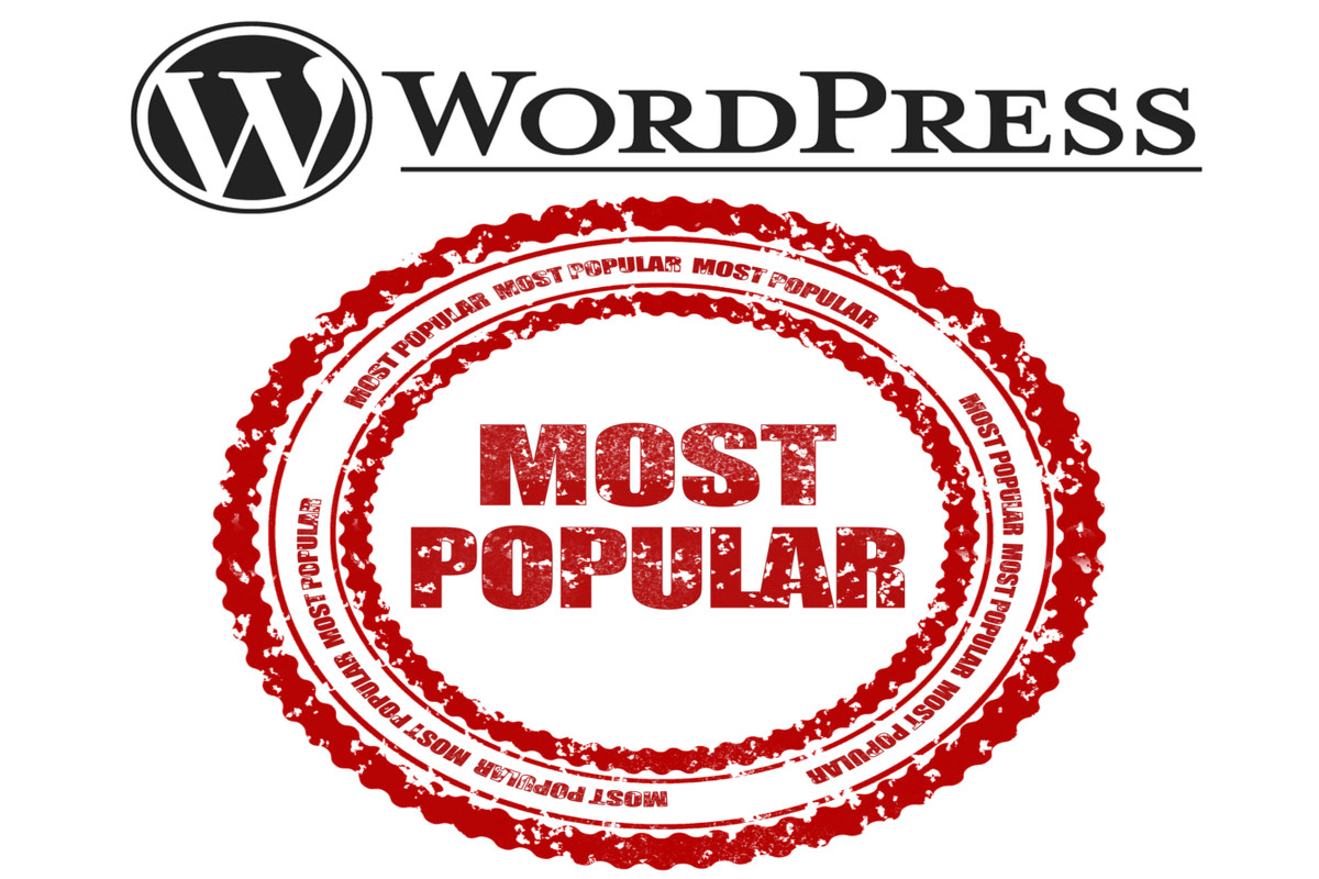 Is WordPress Losing Popularity? Not By A Long Shot! FAQs!