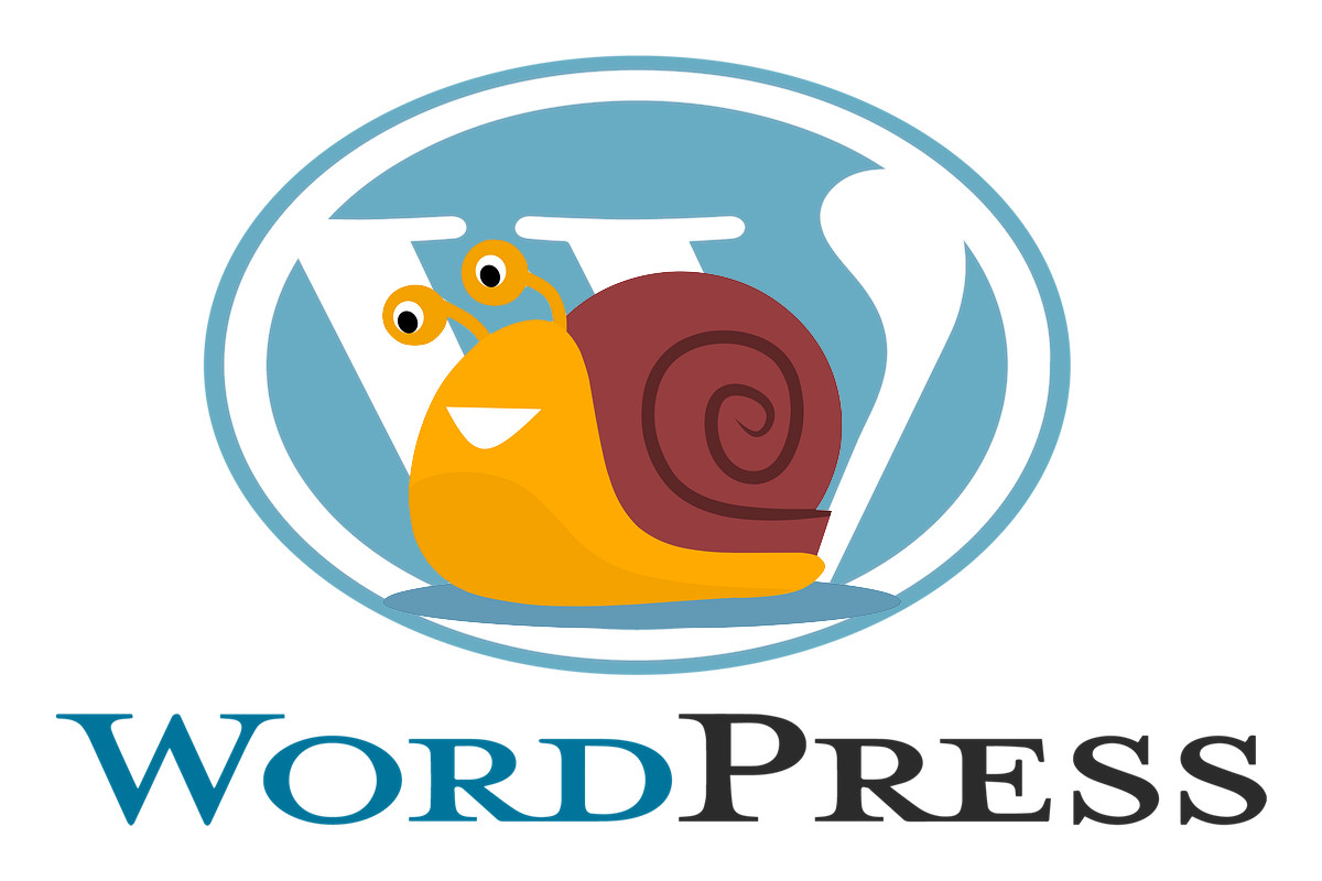 Is Your WordPress Slug Not Working? Causes & Quick Fixes!
