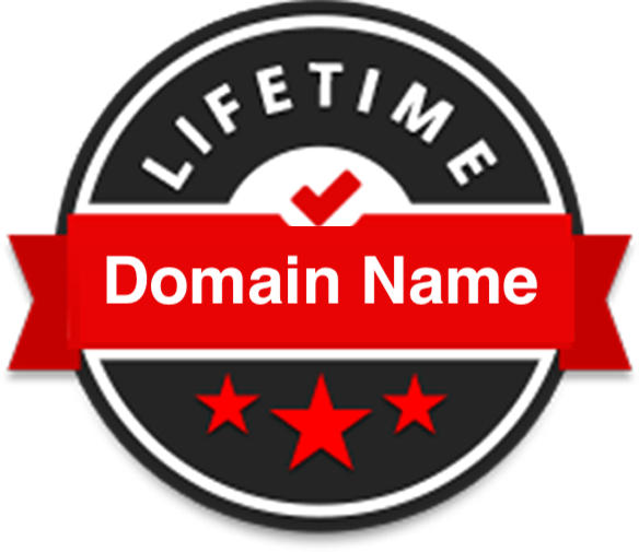 The Lifetime Domain Name. FAQs vs Fiction!