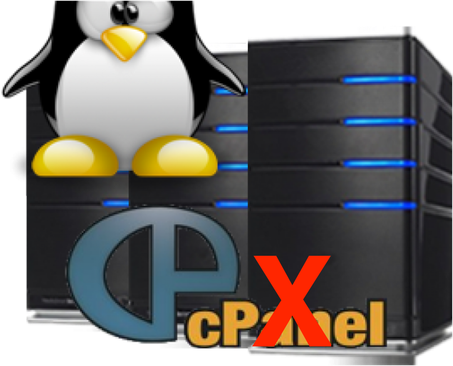 Can I Use A VPS Without cPanel? Yes! Here's Why You Should!