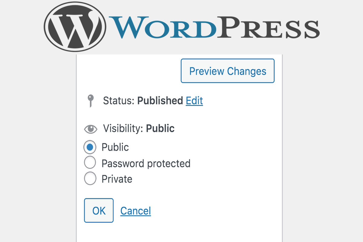 How To Make A WordPress Site Public And Why.